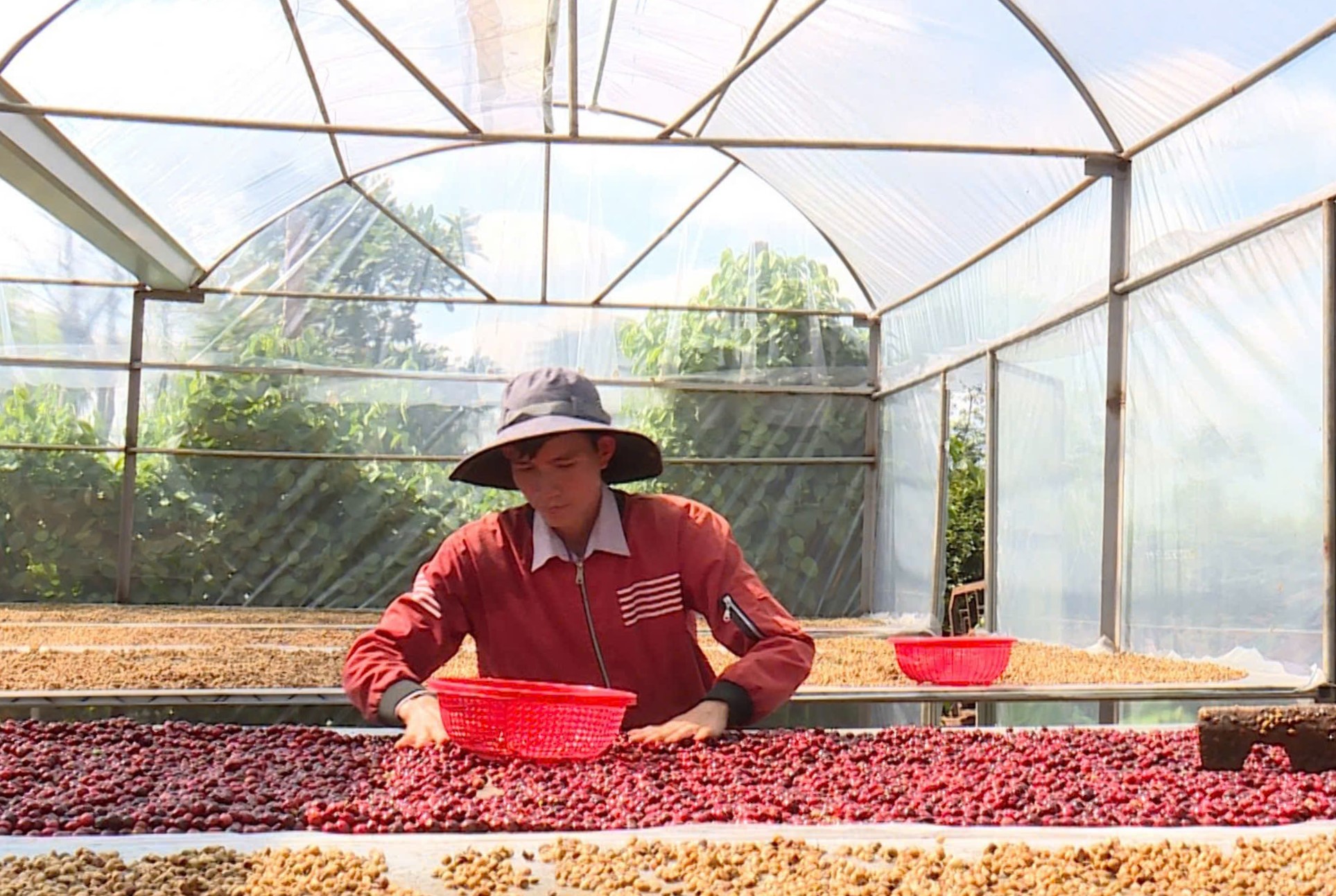 Quy định về diện tích đất sử dụng để xây dựng công trình phục vụ trực tiếp sản xuất nông nghiệp trên địa bàn tỉnh Đắk Lắk